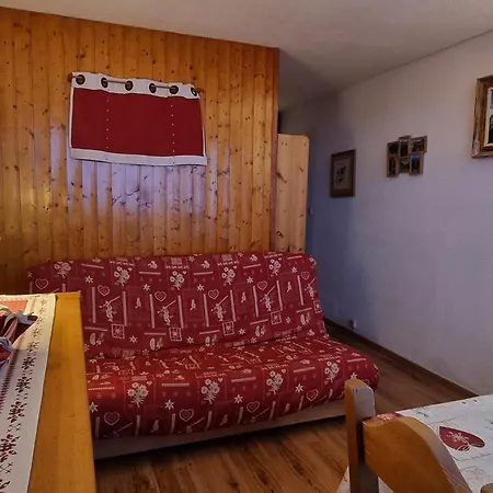 Chaleureux Avec Acces Direct Aux Pistes - Animaux Acceptes - Fr-1-181-2569 * La Plagne
