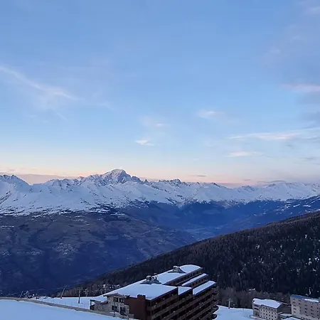 Apartmán Chaleureux Avec Acces Direct Aux Pistes - Animaux Acceptes - Fr-1-181-2569 La Plagne